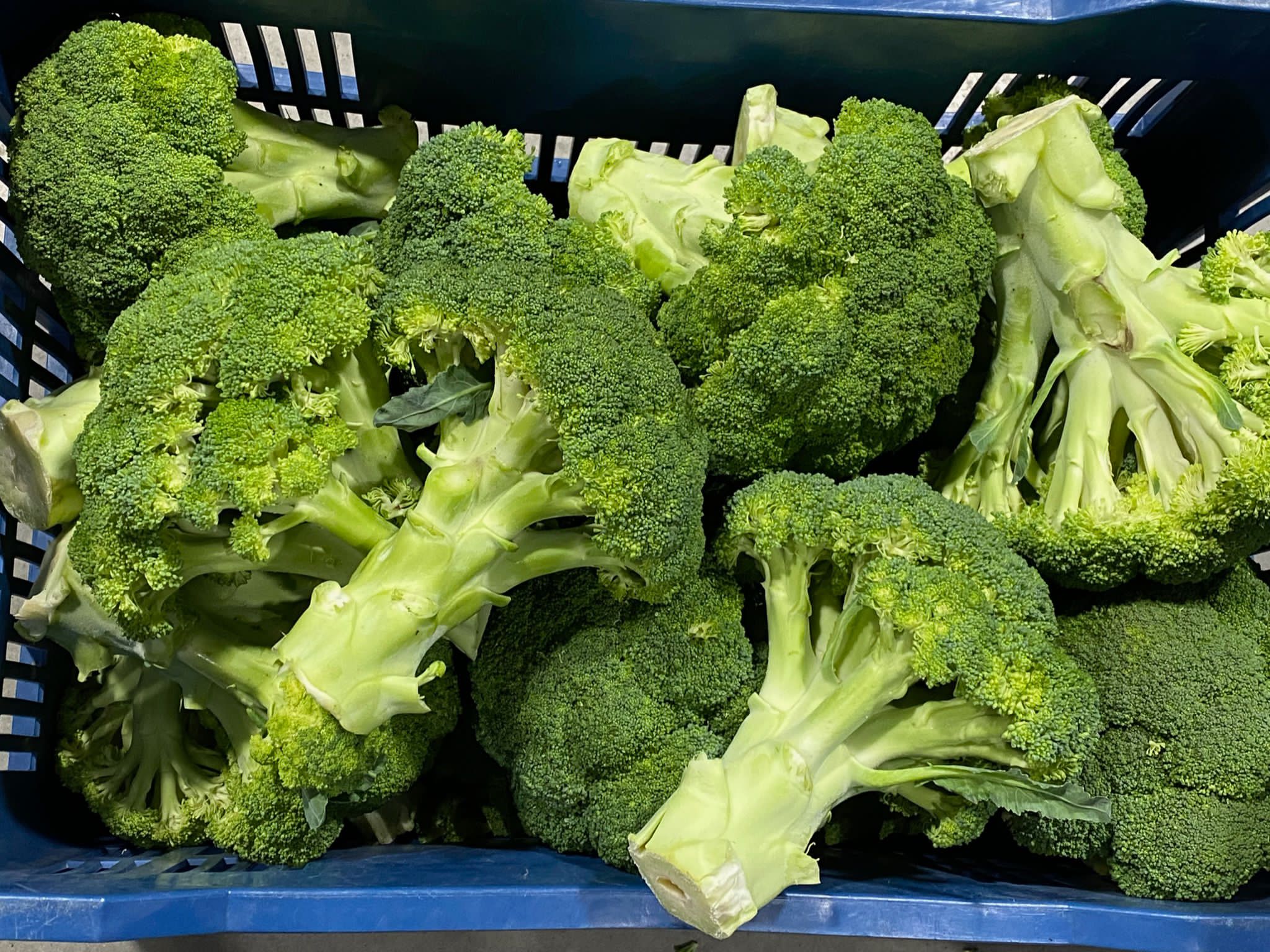 Fresh produce 2
